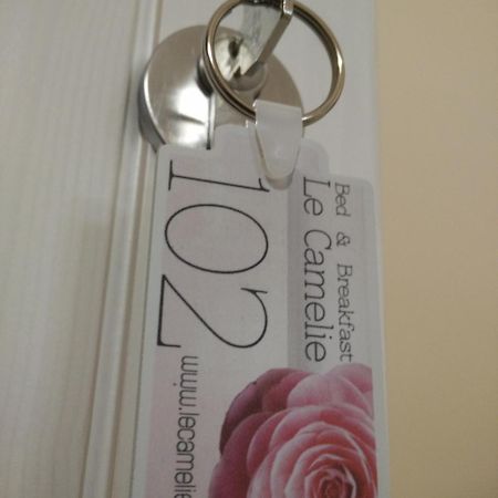 지노사마리나 Le Camelie B&B 객실 사진