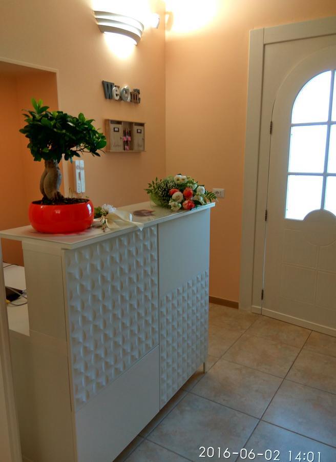 지노사마리나 Le Camelie B&B 외부 사진