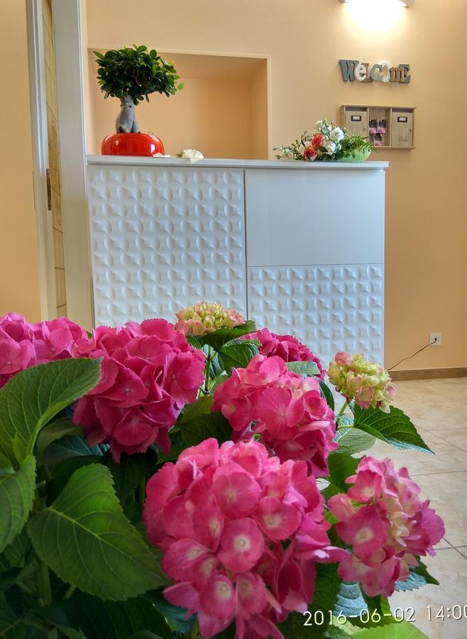 지노사마리나 Le Camelie B&B 외부 사진
