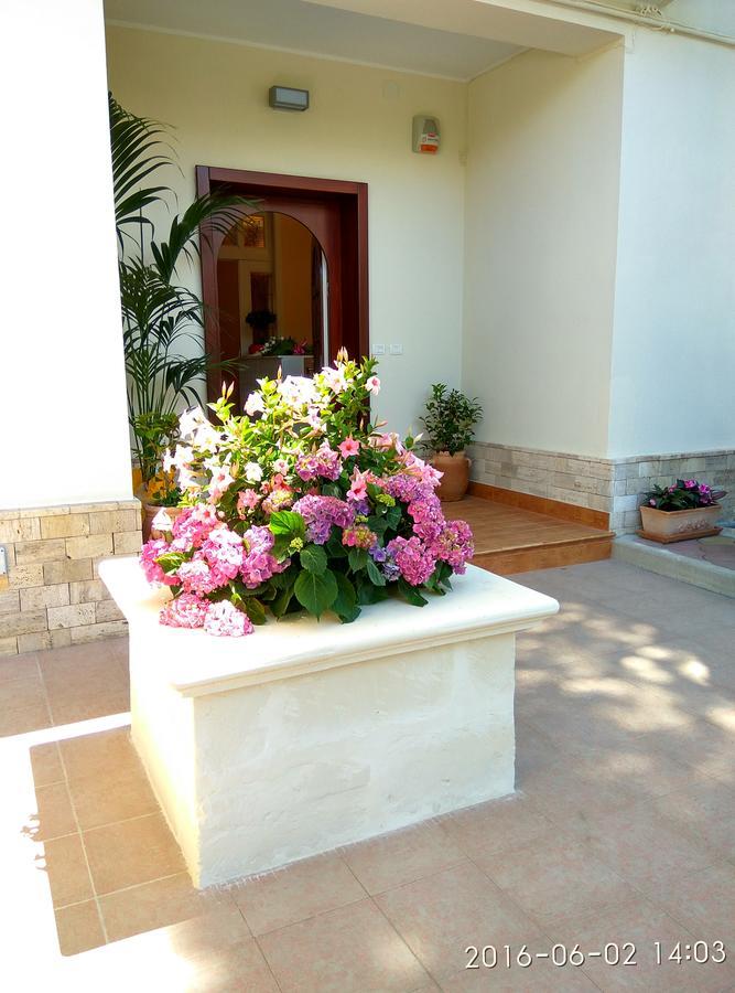 지노사마리나 Le Camelie B&B 외부 사진