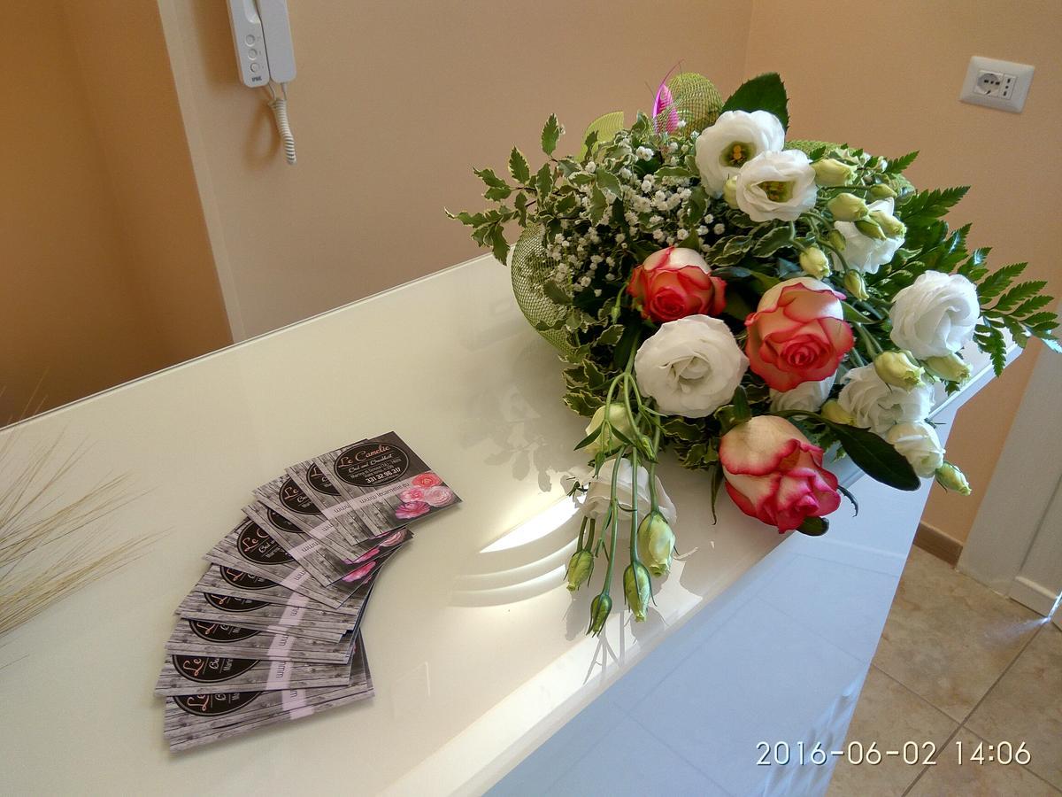 지노사마리나 Le Camelie B&B 외부 사진